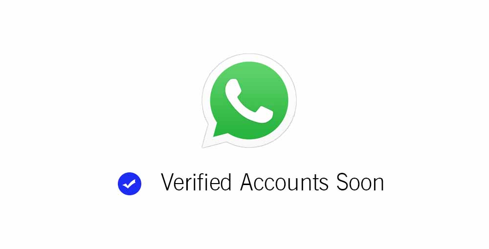 verified whatsapp accounts